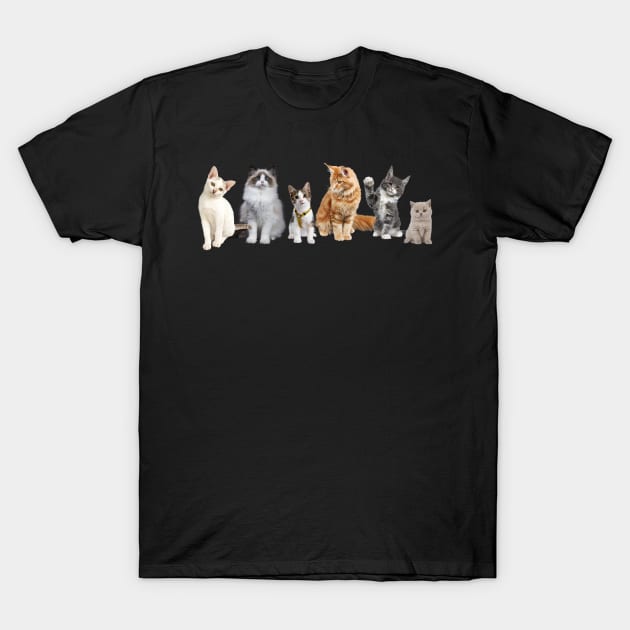 Cats & Kittens T-Shirt by ALBOYZ